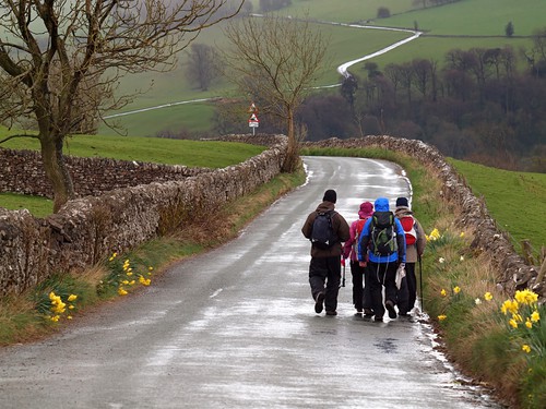 group walking reduces stress