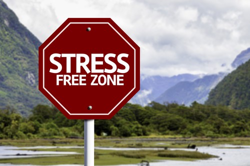 stress free zone stop sign