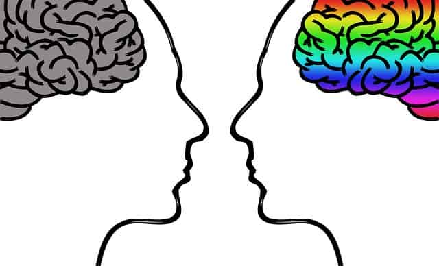 side drawing of two heads facing each other one with colored brain one with grey brain
